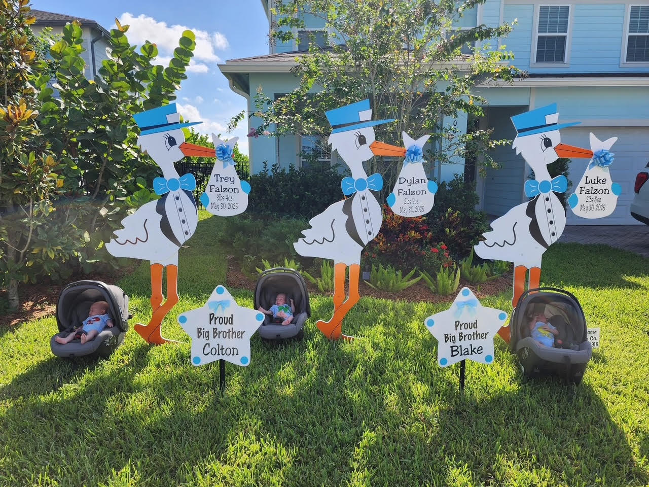 Stork Baby Annoucement in Wellington, FL