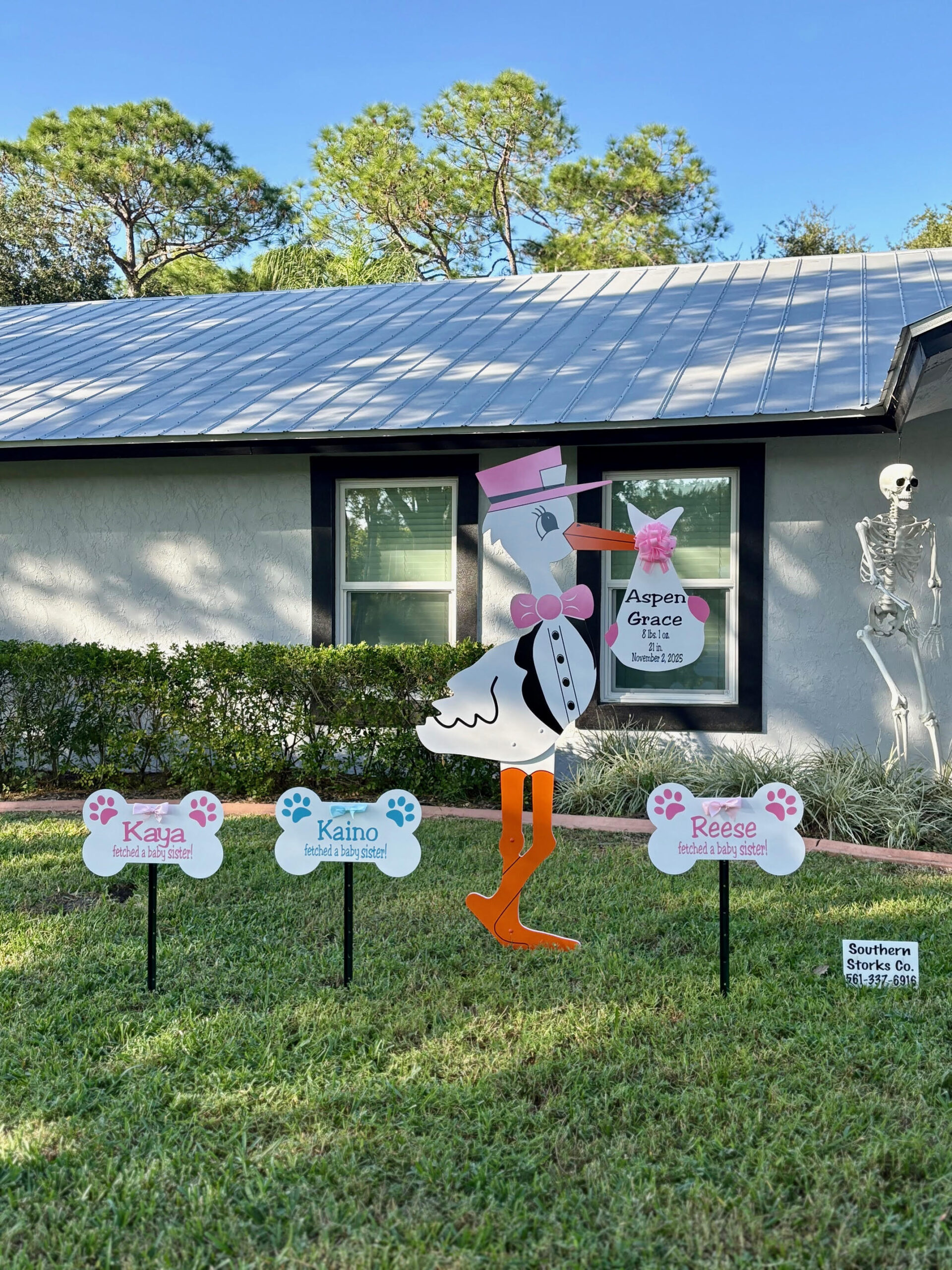 Baby Stork Sign in West Palm Beach, FL