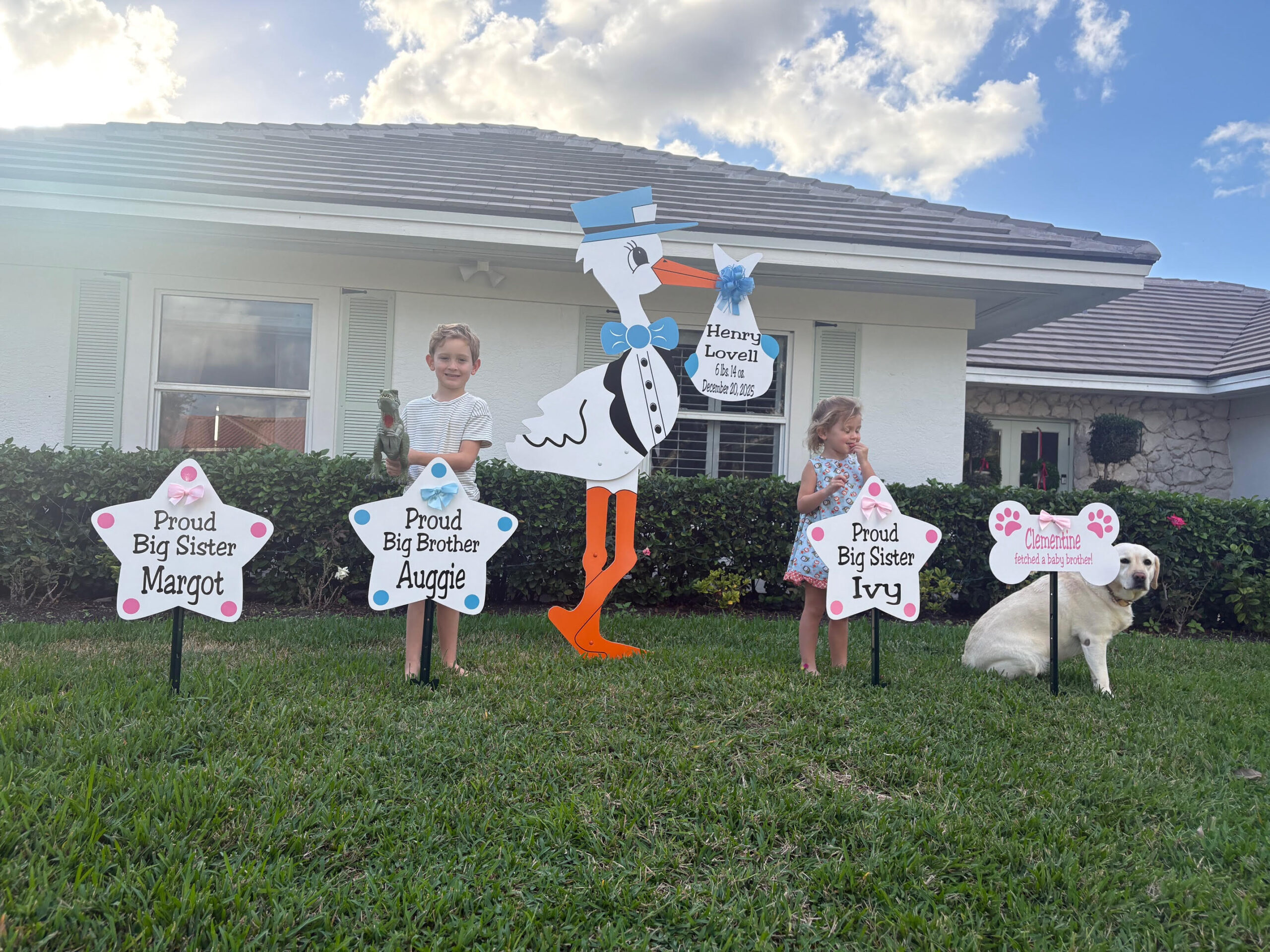 Stork Baby Announcement in West Palm Beach, FL